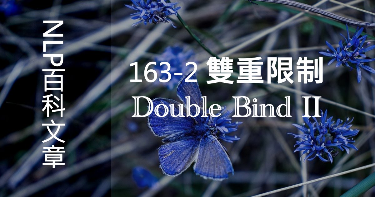 163-2 雙重限制（Double Bind）