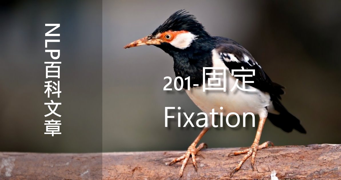 201-固定（Fixation）